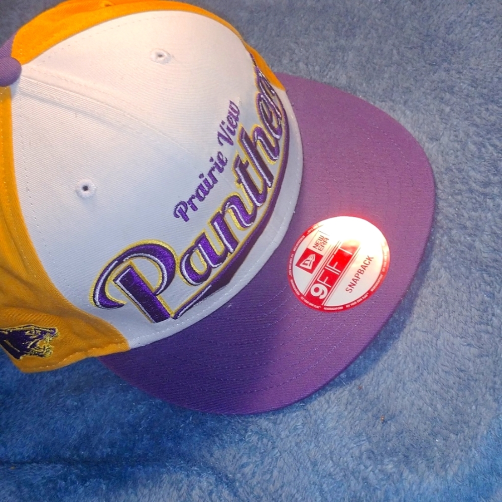 P.V Panthers SnapBack